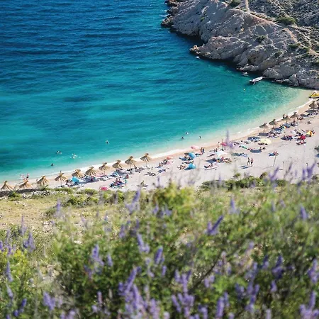 Lejlighed Awesome In *